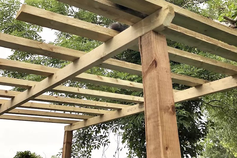 what wood to use to build a pergola