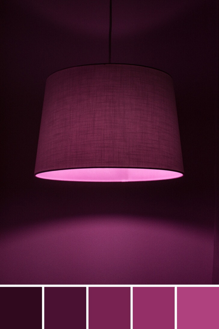 Purple color palette, wall and lamp