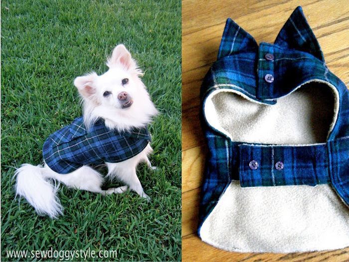 recycle a shirt into a suit for your pet
