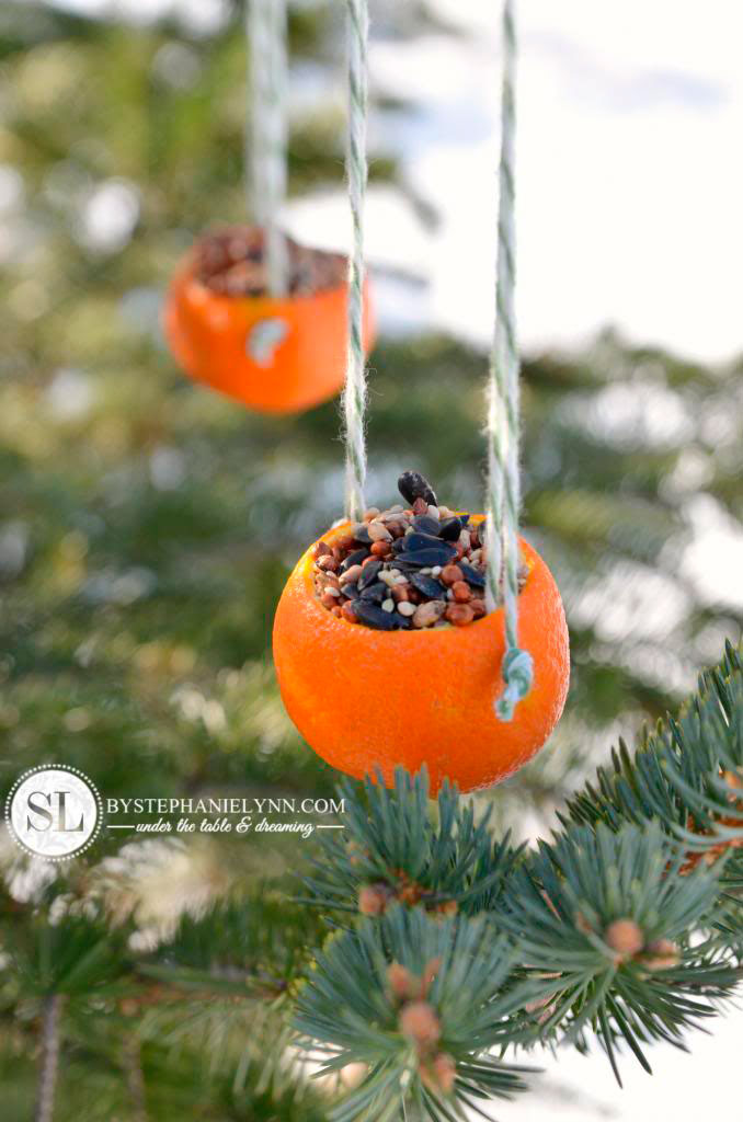 recycle orange peels to make bird feeders