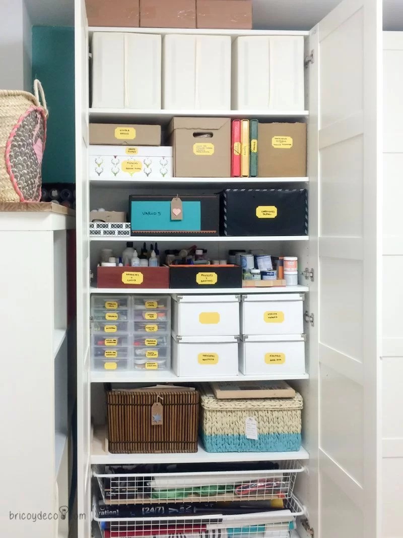 bugs-organize-closet-interior