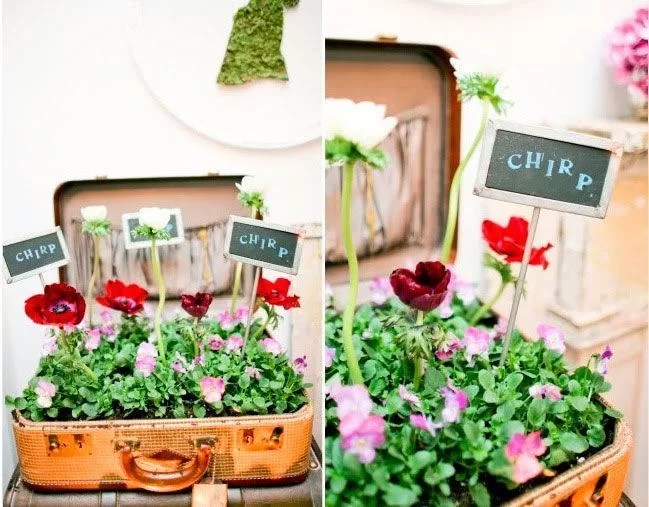 decorate with suitcases and recycle as a planter