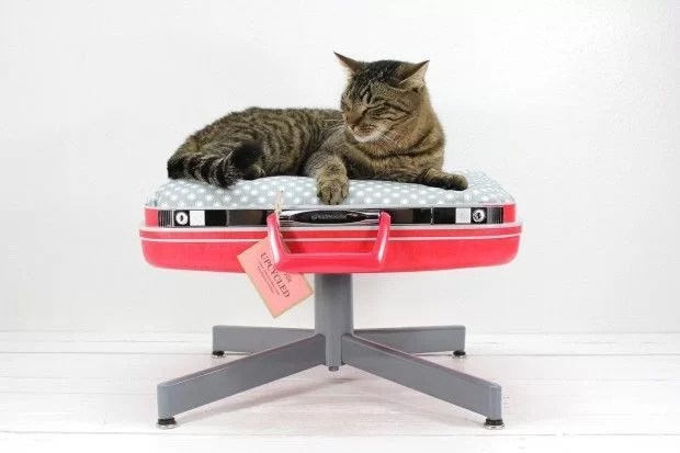 decorate with suitcases and recycle as a pet bed