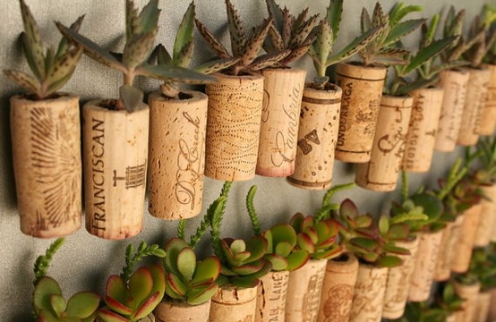 recycle-cork-stoppers-mini-pots