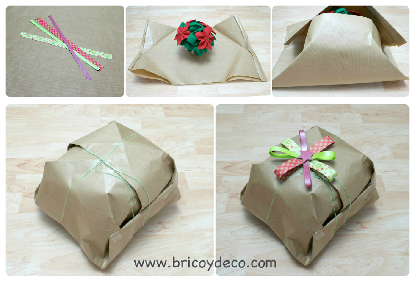 wrap-plant-for-gift
