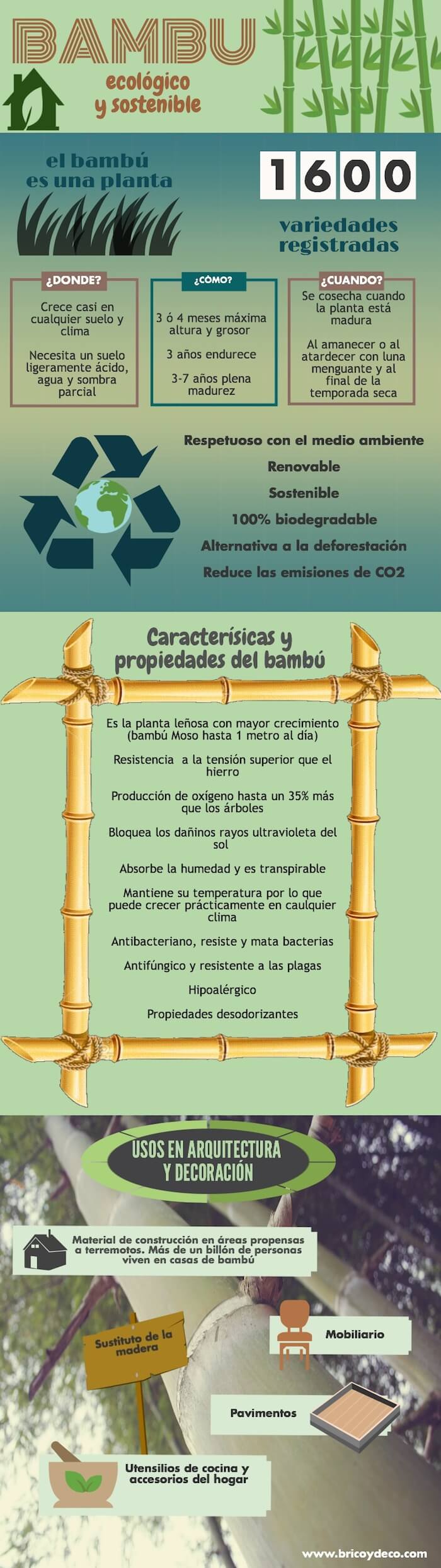 bamboo-as-ecological-material-infographic
