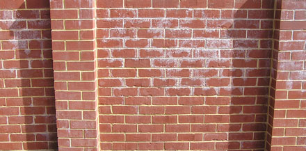 paint-a-brick-wall-efflorescence