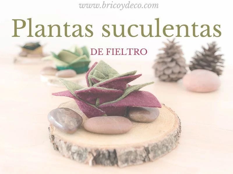 how to make felt succulent plants