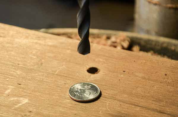 coin in ring preparation